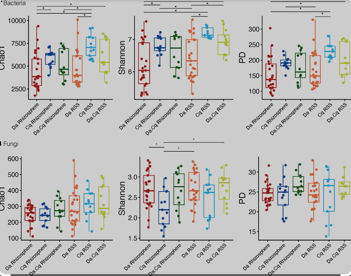 Engineered Microbes Turn CO2 Into Valuable Pharmaceutical Building Blocks